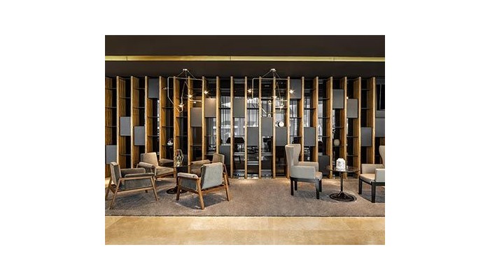 Hotel Fiesta Americana Ciudad De Mexico Toreo poza 11