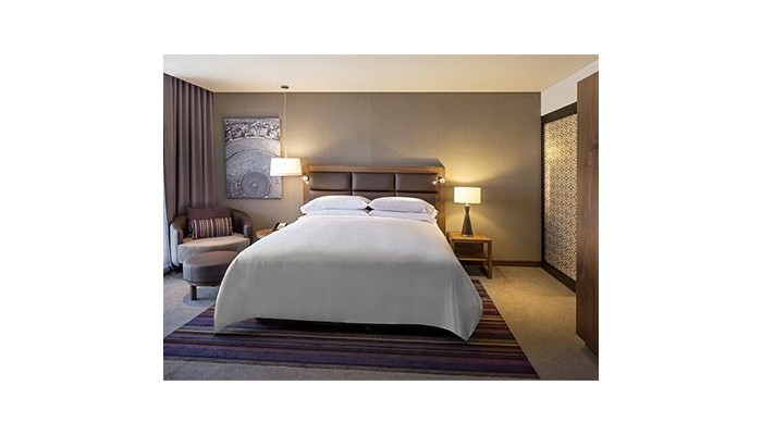 Hotel Fiesta Americana Ciudad De Mexico Toreo poza 3