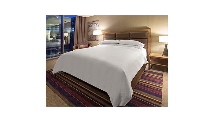 Hotel Fiesta Americana Ciudad De Mexico Toreo poza 2