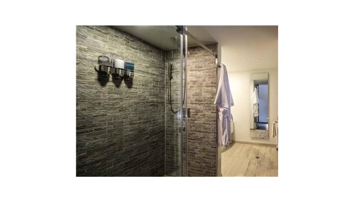 Hotel Flowsuites Condesa poza 9