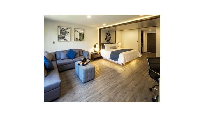 Hotel Flowsuites Condesa poza 11