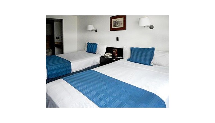 Hotel Fontan Reforma poza 1