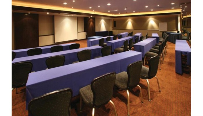 Hotel Galeria Plaza poza 0