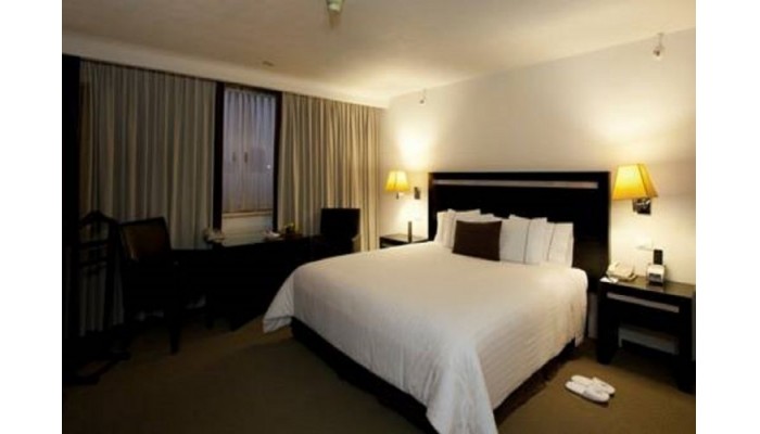 Hotel Galeria Plaza poza 10