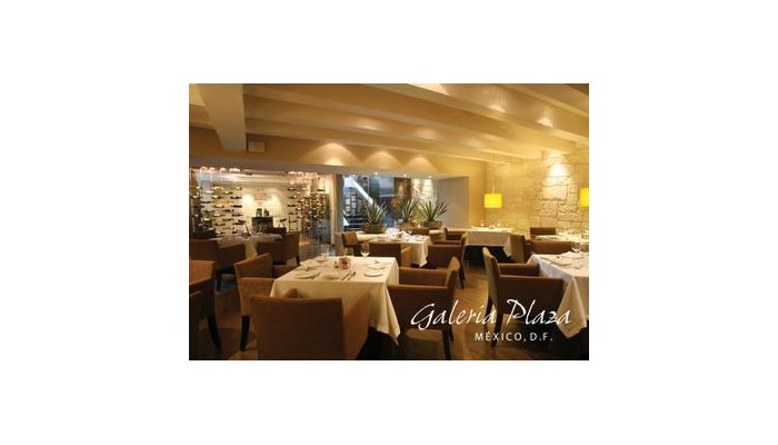 Hotel Galeria Plaza Reforma poza 2