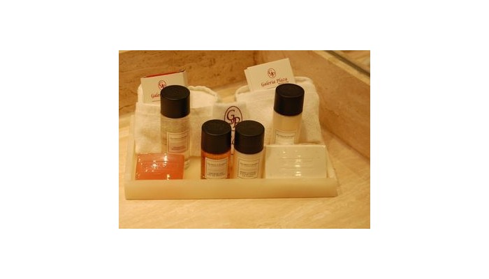 Hotel Galeria Plaza Reforma poza 9