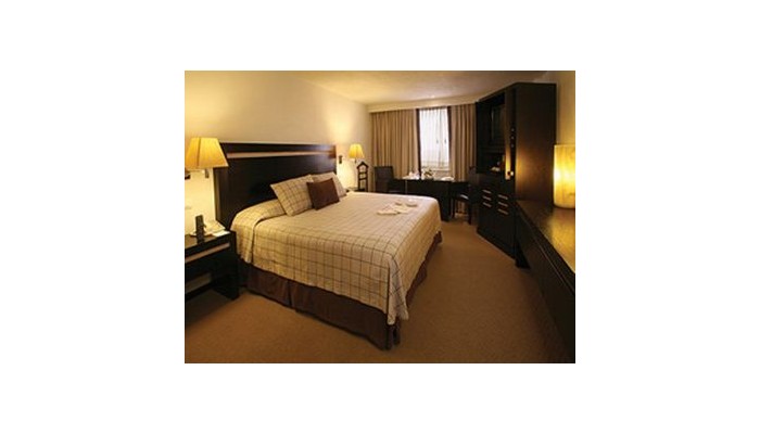 Hotel Galeria Plaza Reforma poza 8