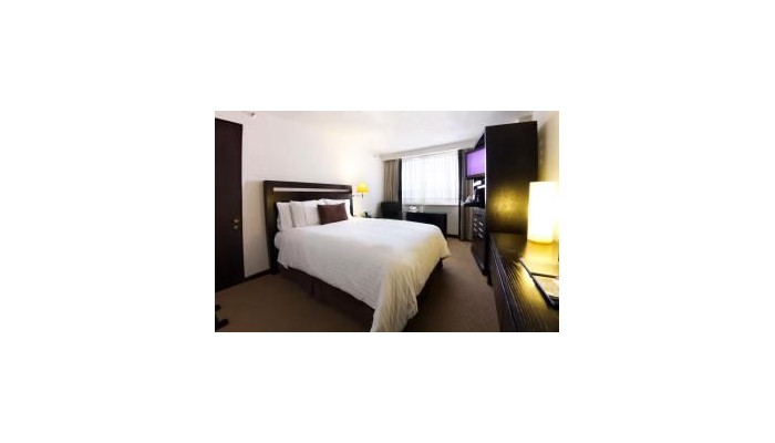 Hotel Galeria Plaza Reforma Mexico City poza 4