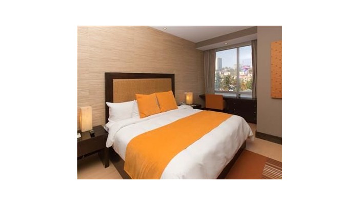 Hotel Hausuites poza 5