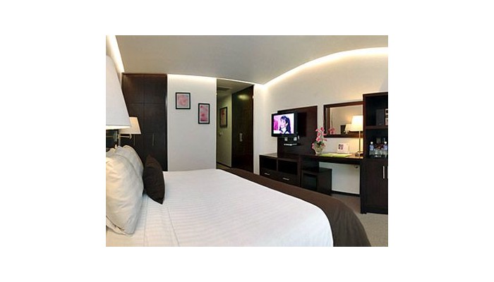 Hotel Holiday Inn And Suites Mexico Medica Sur poza 4