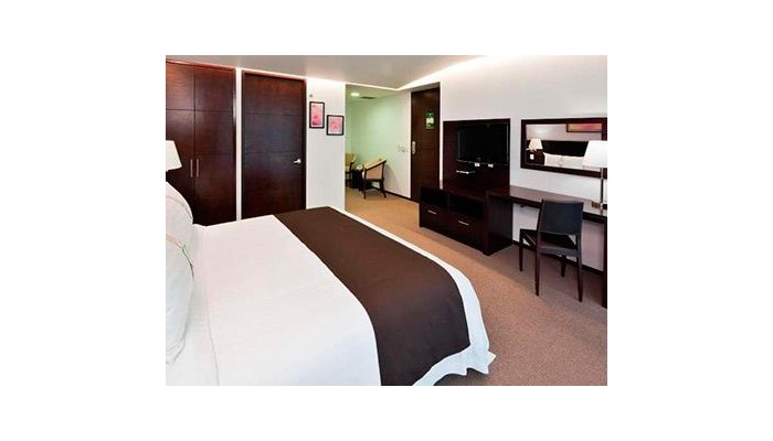 Hotel Holiday Inn And Suites Mexico Medica Sur poza 10