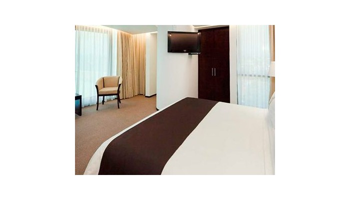 Hotel Holiday Inn And Suites Mexico Medica Sur poza 7