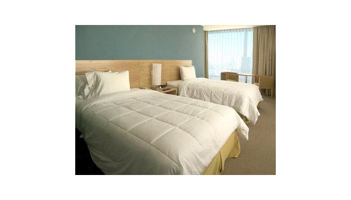 Hotel Holiday Inn Express Mexico Paseo De La Reforma poza 1