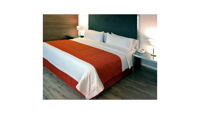 Hotel Holiday Inn Mexico Buena Vista poza 2