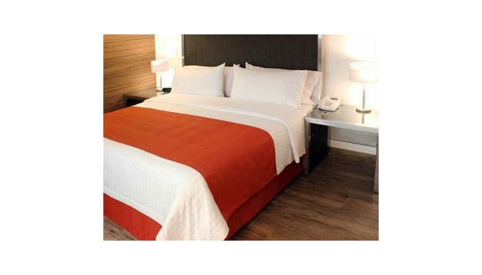 Hotel Holiday Inn Mexico Buena Vista poza 6