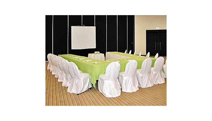 Hotel Holiday Inn Mexico Dali Aeropuerto poza 7