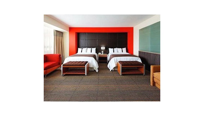 Hotel Holiday Inn Plaza Universidad poza 1