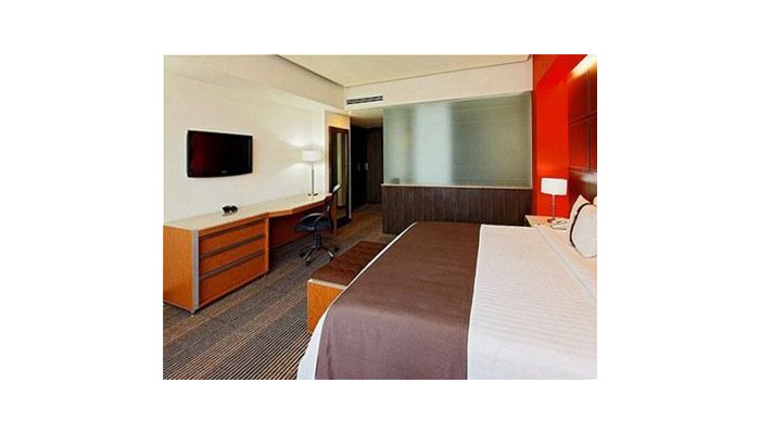 Hotel Holiday Inn Plaza Universidad poza 3