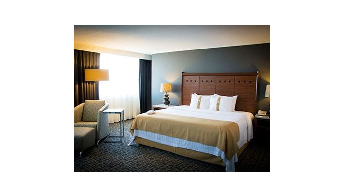 Hotel Holiday Inn Trade Center Ciudad De Mexico poza 3