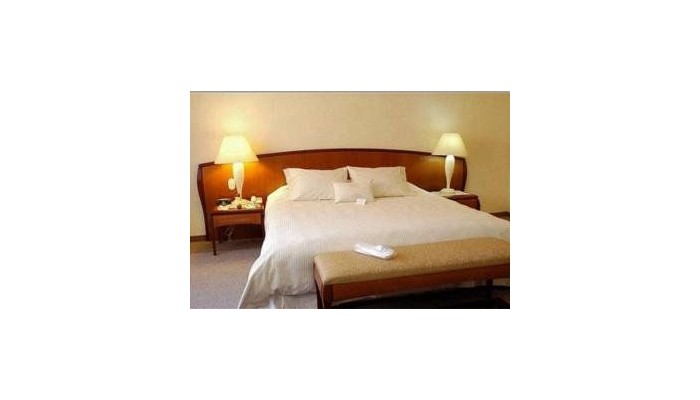 Hotel Holiday Inn Trade Center poza 4