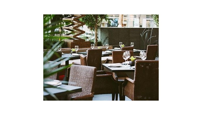 Hotel Jw Marriott Mexico City poza 4