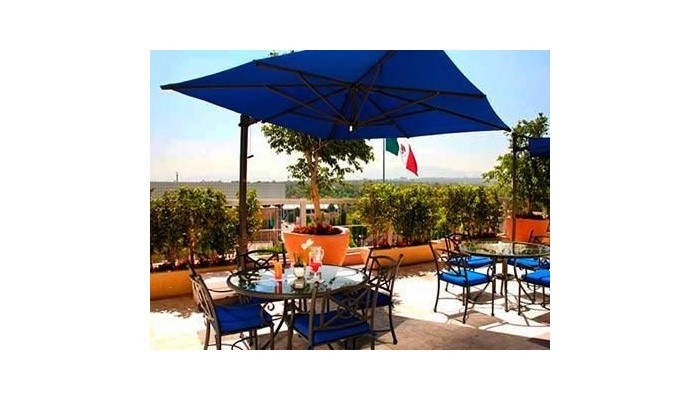 Hotel Jw Marriott Mexico City poza 10