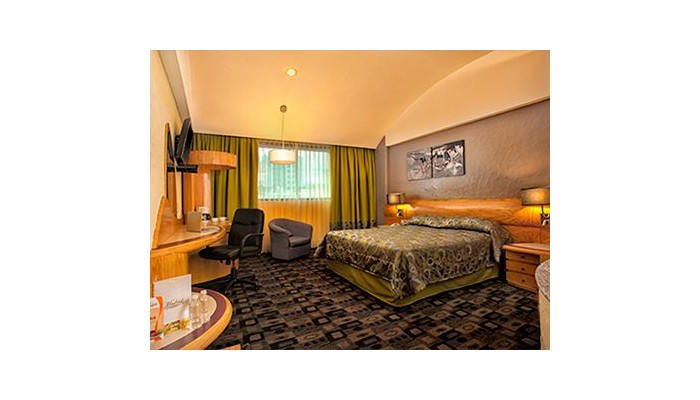 Hotel Mandarin Carton poza 5