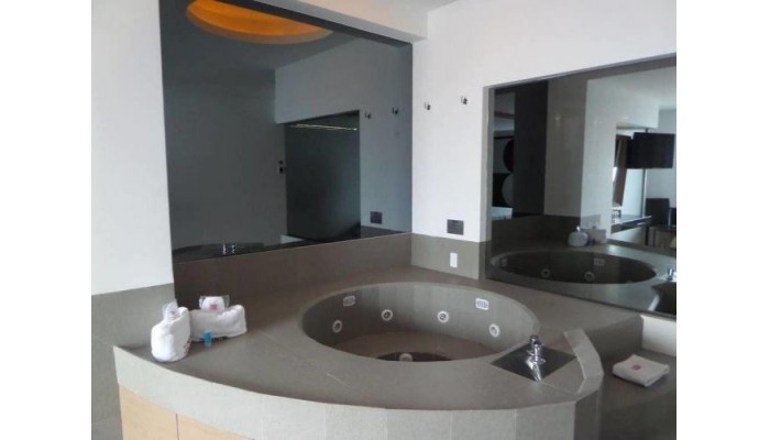 Hotel Novo Coapa poza 2