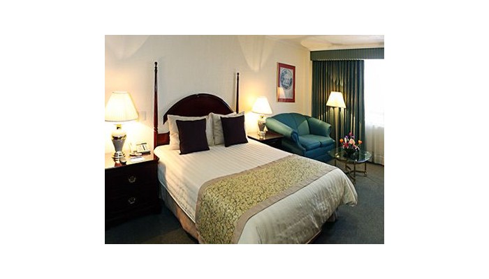 Hotel Pedregal Palace poza 0