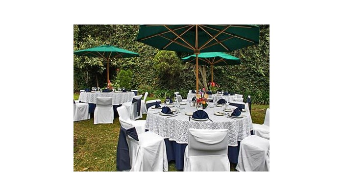 Hotel Pedregal Palace poza 9