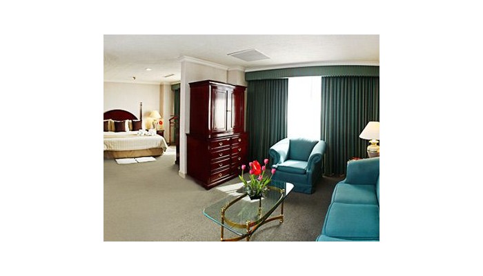 Hotel Pedregal Palace poza 3