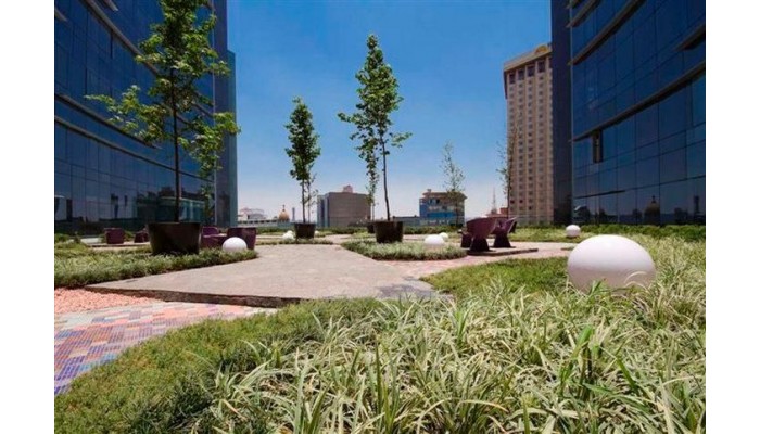 Hotel Plaza Suites Mexico City poza 5