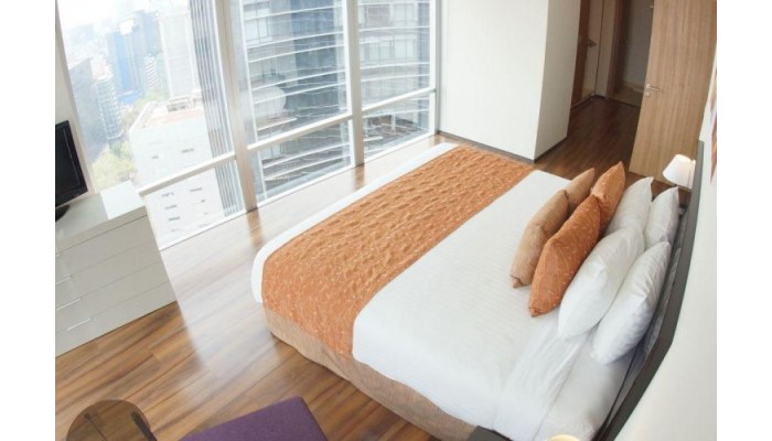 Hotel Plaza Suites Mexico City poza 11