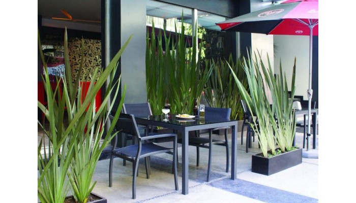 Hotel Regente City poza 0