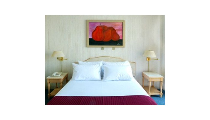 Hotel Residencia Rochester poza 2