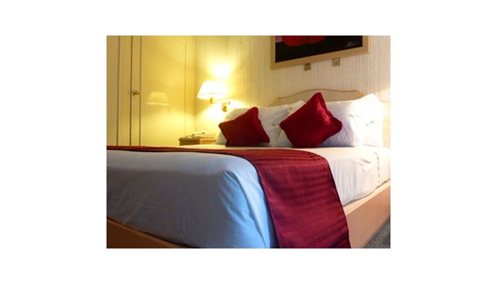 Hotel Residencia Rochester poza 3