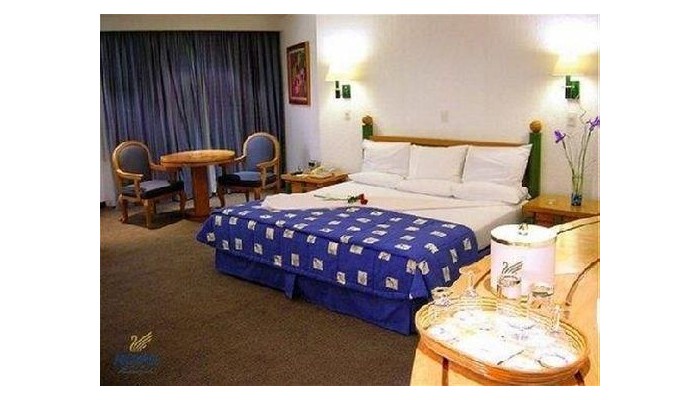 Hotel Royal Pedregal poza 9