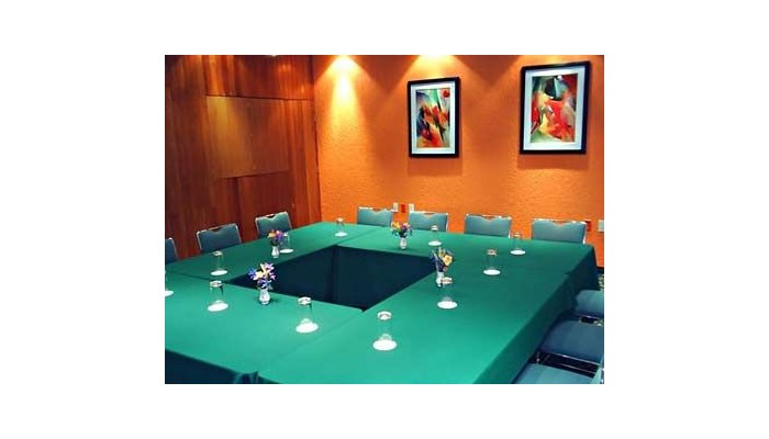 Hotel Segovia Regency poza 2