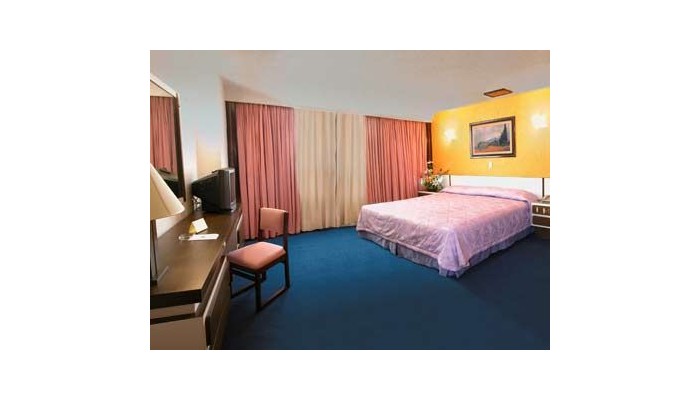 Hotel Segovia Regency poza 0