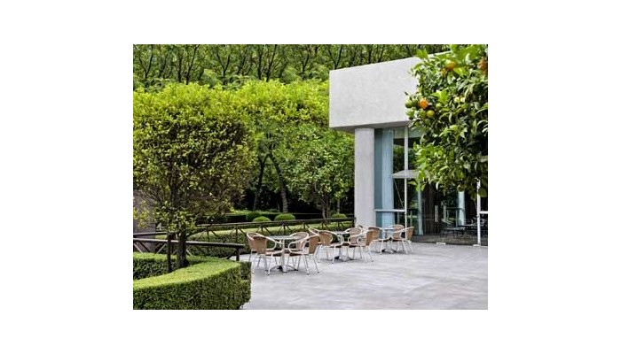 Hotel Sheraton Santa Fe Mexico City poza 10