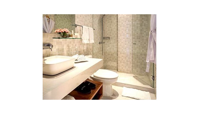 Hotel Stara San Angel Inn poza 3