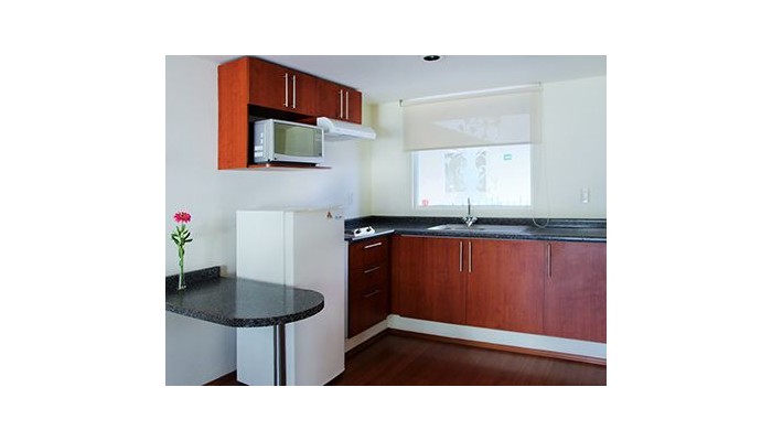 Hotel Suites Hipolito Taine By Residence L Heritage poza 8