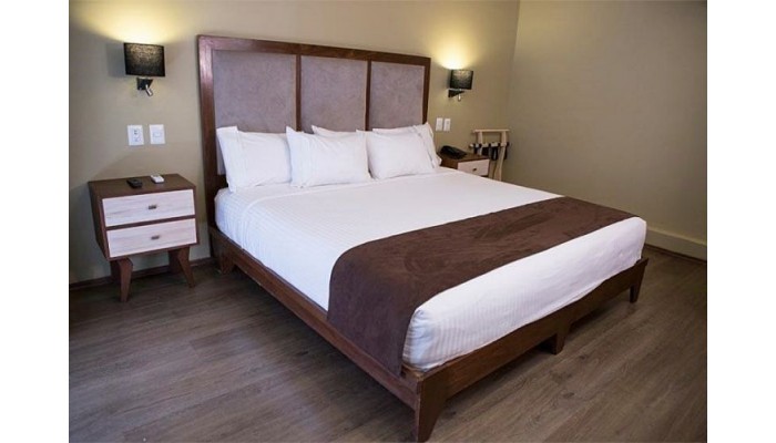 Hotel Suites Lerma 205 poza 0