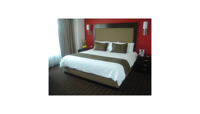 Hotel Suites Plaza Florencia poza 6