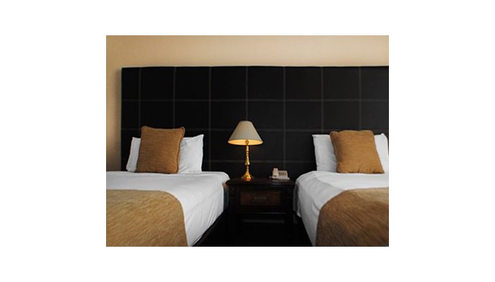 Imperial Hotel Reforma poza 8