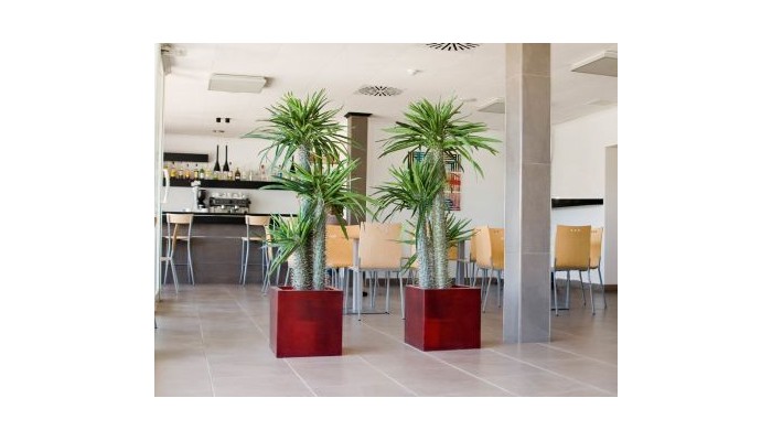 Hotel Playa Grande Menorca poza 0