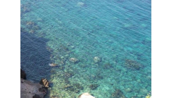 Hotel Sa Cala poza 9