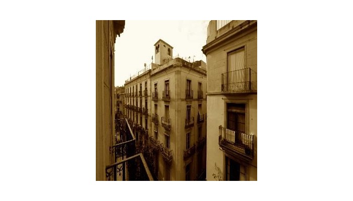 Hotel Gothic Hostel Bcn poza 0