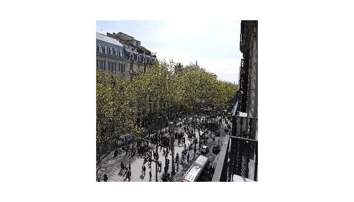 Medium Monegal Hotel poza 4