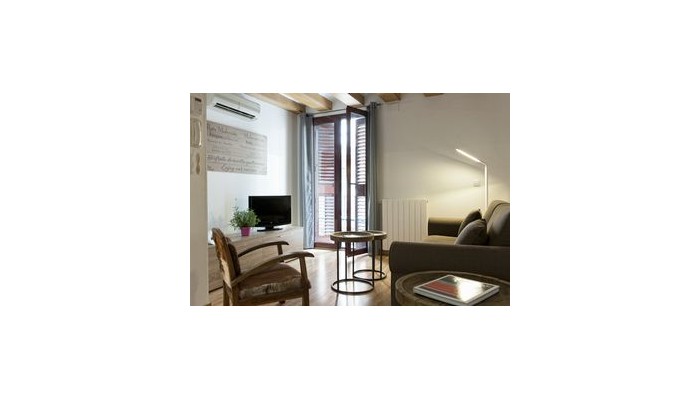 Mh Apartments Liceu poza 5